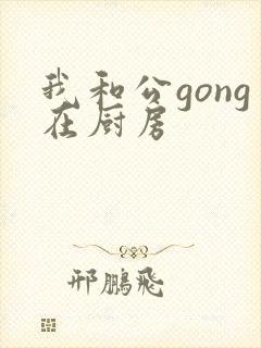 我和公gong在厨房