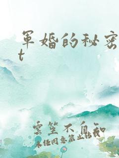 军婚的秘密txt
