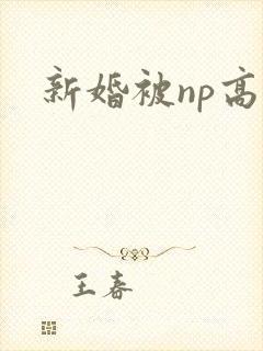 新婚被np高h
