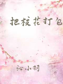 把校花打包带走