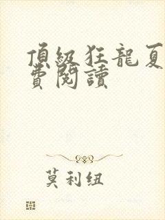 顶级狂龙夏天免费阅读