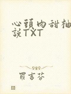 心头肉甜柚子小说TXT