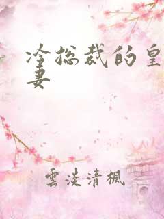 冷总裁的皇后暖妻