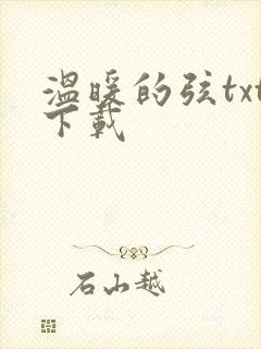 温暖的弦txt下载