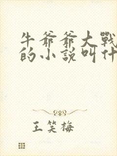 牛爷爷大战小丽的小说叫什么