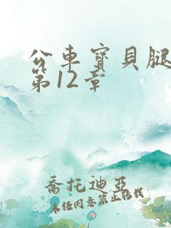 公车宝贝腿开点第12章