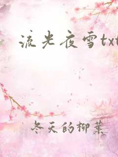 流光夜雪txt