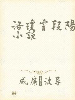 洛琼霄段阳澍的小说