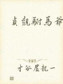 贞观驸马爷苏牧