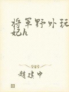 将军野外玩弄贵妃h