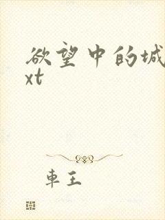 欲望中的城市txt