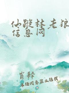 仙踪林老狼贰佰信息网