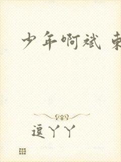 少年啊斌 东房