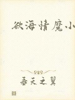 欲海情魔小说