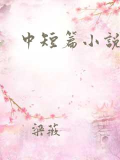 中短篇小说集