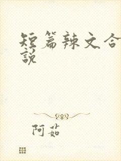 短篇辣文合集小说