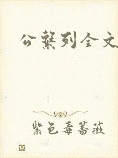 公系列全文阅读