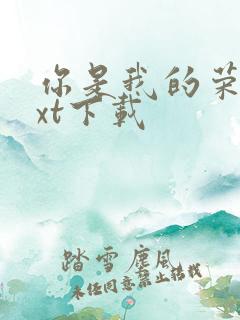 你是我的荣耀txt下载