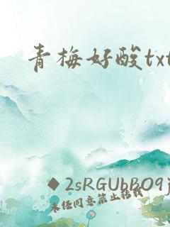 青梅好酸txt