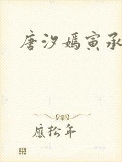 唐汐嫣寅承小说