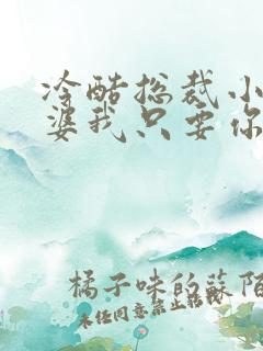 冷酷总裁小小老婆我只要你