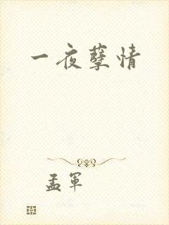 一夜孽情