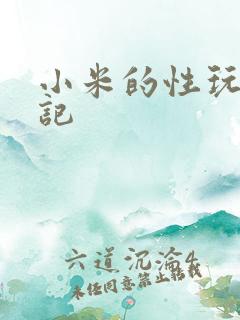 小米的性玩具日记