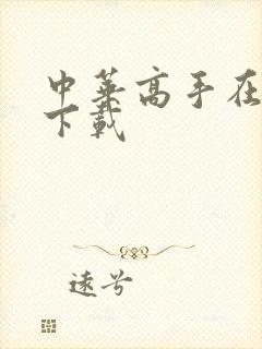 中华高手在异世下载