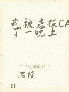 我被老板CAO了一晚上