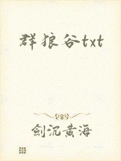 群狼谷txt