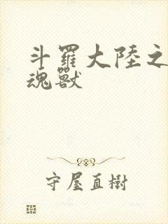 斗罗大陆之最强魂兽