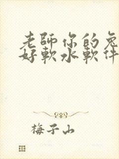 老师你的兔兔子好软水软件