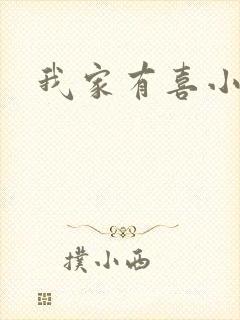 我家有喜小说