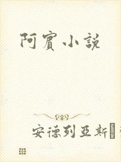 阿宾小说