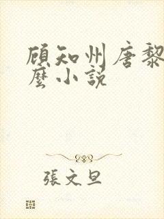 顾知州唐黎叫什么小说