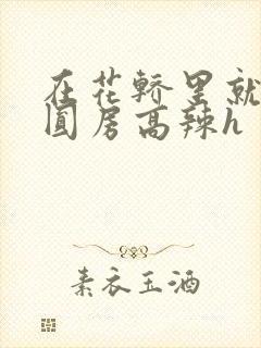 在花轿里就开始圆房高辣h