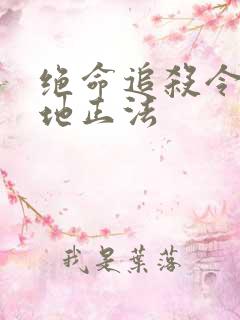 绝命追杀令2就地正法