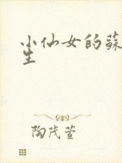 小仙女的苏撩先生