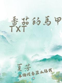 番茄的马甲小说TXT