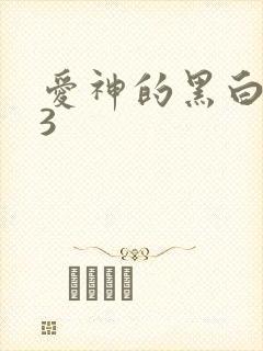 爱神的黑白羽翼3
