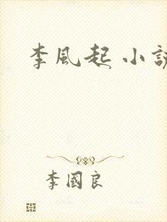 李风起 小说