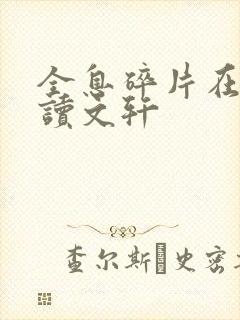 全息碎片在线阅读文轩