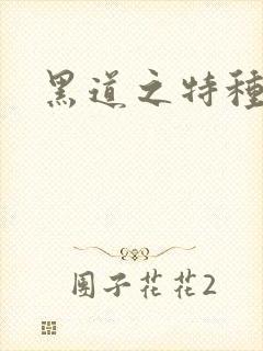 黑道之特种兵王