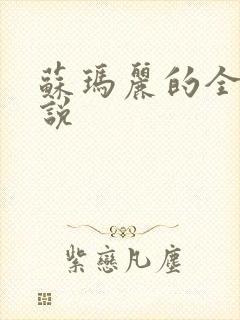 苏玛丽的全部小说