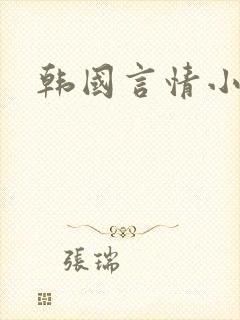 韩国言情小说