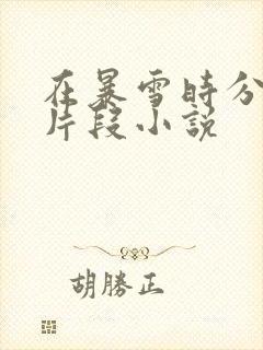 在暴雪时分高能片段小说