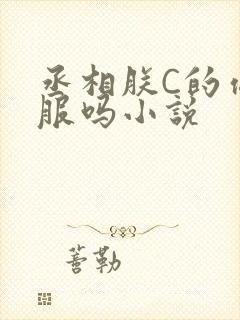 丞相朕C的你舒服吗小说