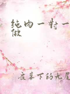 纯肉一对一到处做