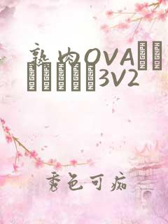 熟肉OVAちゃんはしたい3V2