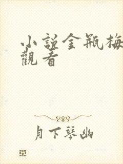 小说金瓶梅在线观看